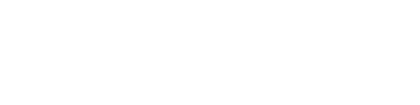 Box Jungle